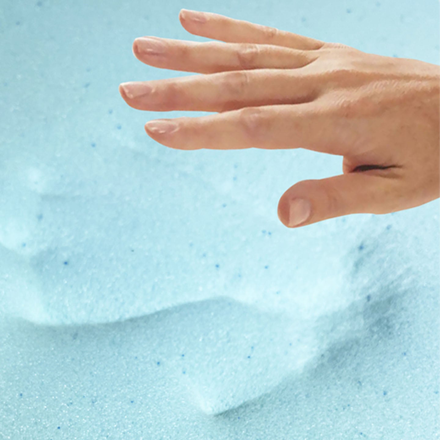 Orthopedic Dog Bed-Lan((Orchid)