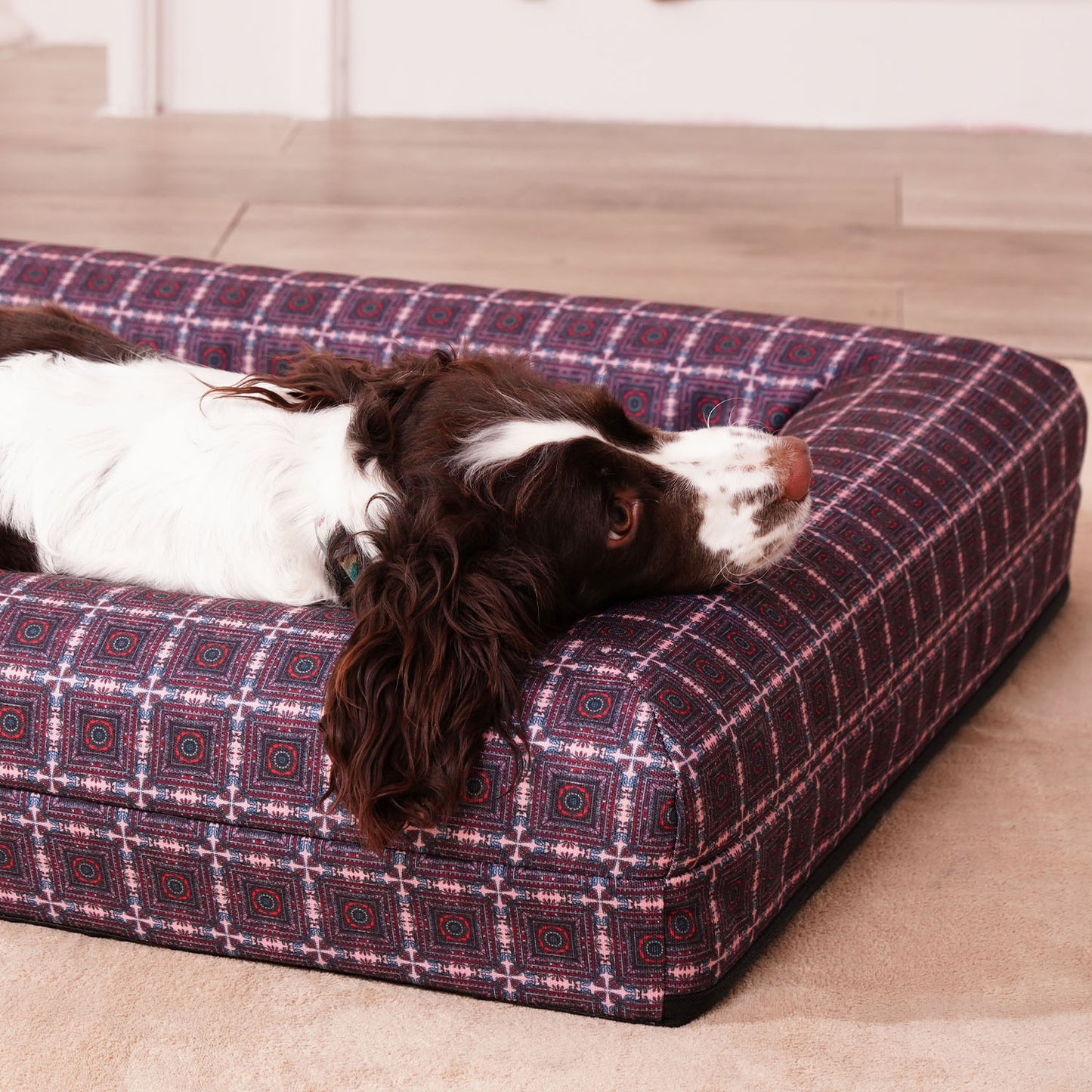 Orthopedic Dog Bed-Caisson Ceilings