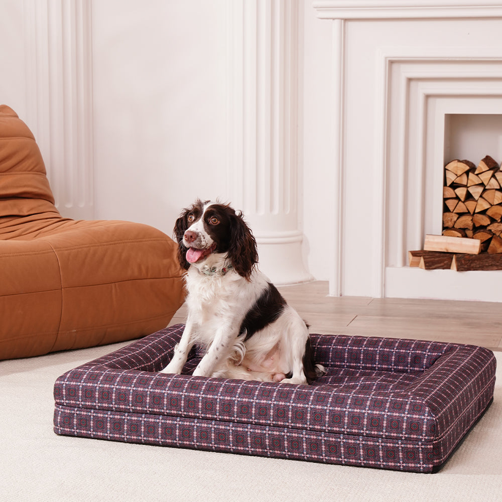 Orthopedic Dog Bed-Caisson Ceilings