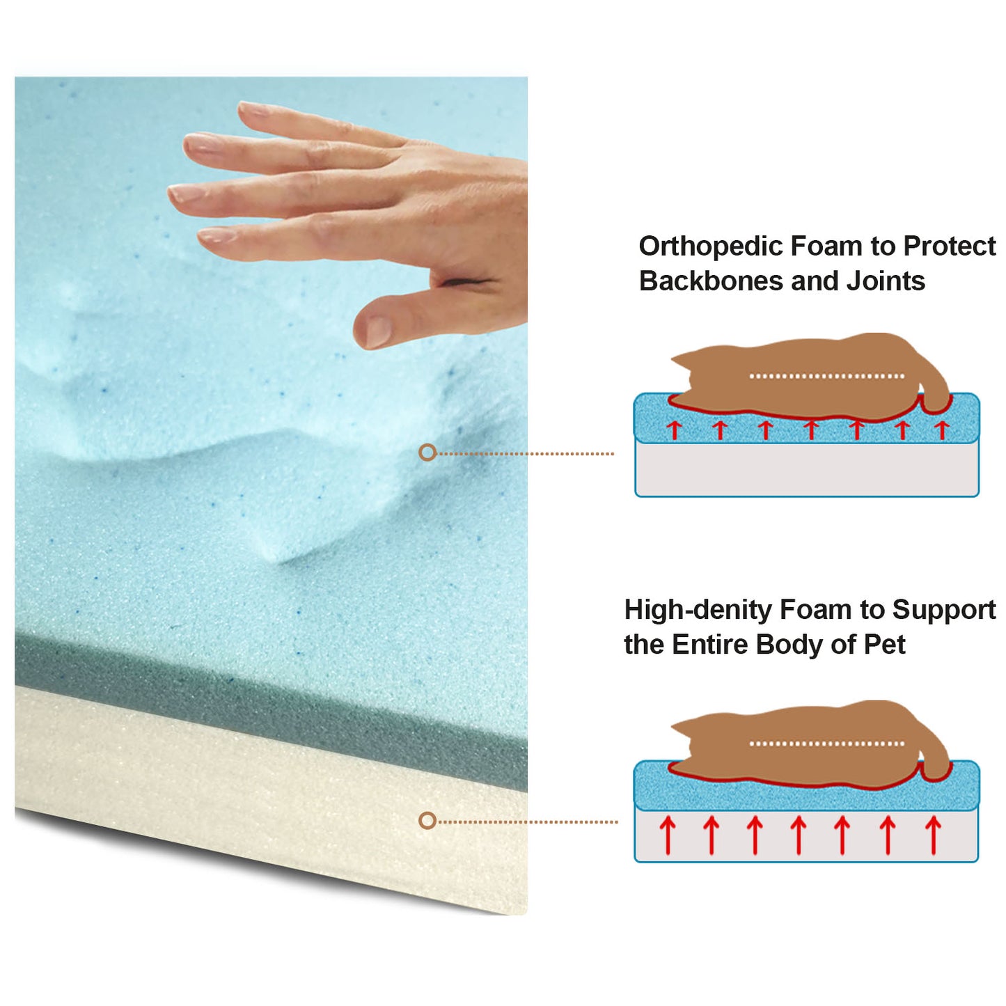 Orthopedic Dog Bed-Lotus